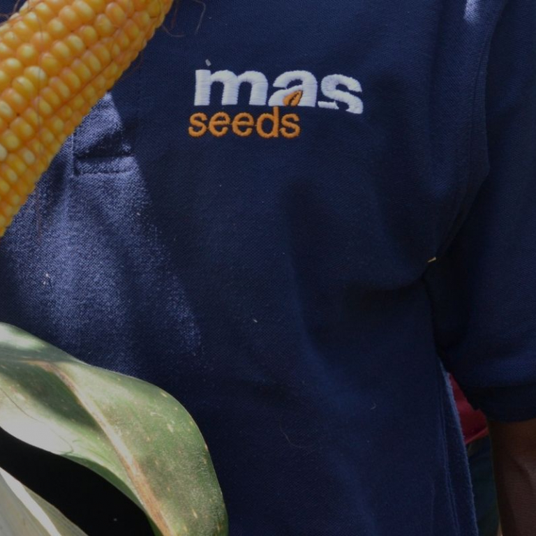 MAS Seeds company in Africa